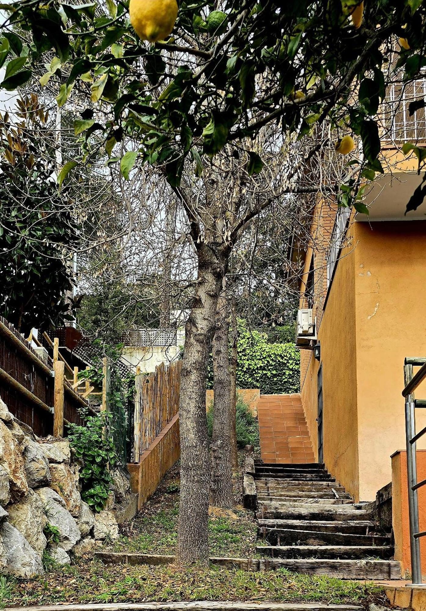 Cal Nene - Plamun Es Vila Begur Exterior foto